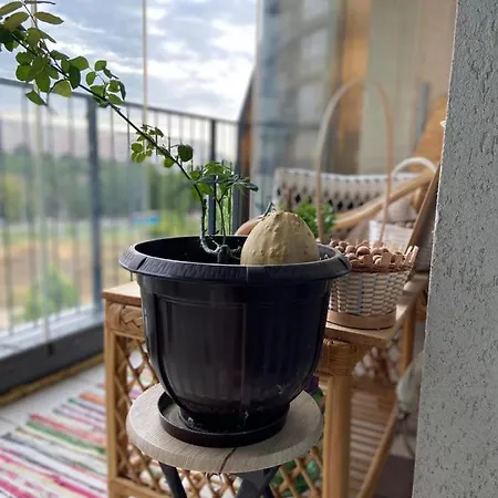 Apartament Park Ior Complex Evocasa Armonia Апартаменти Бухарест